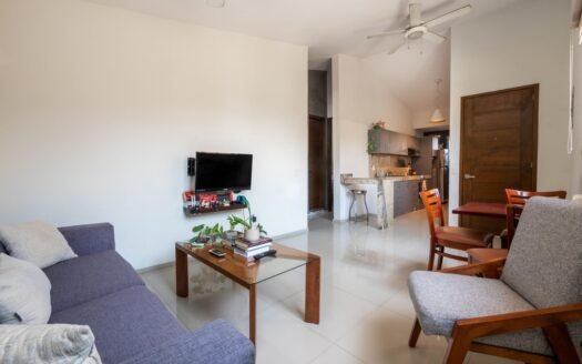 Condo Espinosa